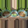 plant/Lotus seedlings-0-thumbnail