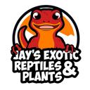 Jaysexotics