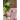 Pon Semi-Hydro Substrate thumbnail