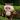  Pendant Vinyl Face Plush Doll 5.9in thumbnail