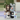 Maymei Combination（1Dark Frost+1Symbiotic Neverland） thumbnail