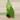 Anthurium veitchii thumbnail