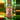 Crown of Money oil thumbnail