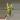 262 Longiloba Aurea - CORM ONLY! thumbnail