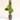 Steel Sphagnum Moss Pole — Plant Support for Climbing Houseplants thumbnail