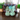 Mini Froggos thumbnail