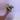 Mutated Birkin Evian thumbnail