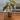 Philodendron Melanochrysum top cut thumbnail