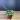 Peperomia Burbella 4” thumbnail
