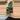 Philodendron Billietae Reverted TC (acclimated) thumbnail