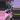 Purple Cloak/ preceps alocasia thumbnail