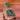 Scindapsus NOID (Mayari?) thumbnail