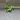 Cebu Blue Pothos thumbnail