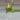 Lemon Lime Philo thumbnail