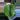 ☆Rare☆ An. Splendidium 0205 ☆2 Day Shipping Upgrade mandatory thumbnail