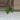 Scindapsus pictus thumbnail