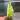 Alocasia Acuminata Albo thumbnail