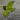 Agalonema pictum tricolor thumbnail
