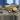 443b 24g Female Yellow Tiger thumbnail
