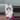 Wakuku white fox thumbnail