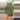 Shipping feed thumbnail