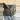 588. Chelsea Braided Crossbody #10399 thumbnail