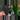 Seed grown anthurium dark mama X legend starter plant growers choice thumbnail
