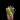 Micans variegated-rooted top cut #0016 thumbnail