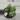 Haworthiopsis Coarctata thumbnail