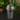 Set of 1 - Self-Watering Cups - Mini thumbnail