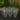 Set of 10 - Self-Watering Cups - Mini - 1oz thumbnail