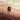 Ardens babies Jumping Spiders thumbnail