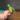 Syngonium MOJITO thumbnail