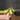 Philodendron snowdrift thumbnail