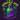 Stoners Choice Alocasia Venom TC thumbnail