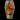 Skulls & Ravets Floral Coffin Enclosure thumbnail