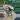 #77 MAPI white wall Quad stripe dark base 35g thumbnail