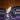 Bunny thumbnail