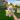 🍌 Banana Cow Plushie thumbnail