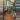 Philodendron 69686 thumbnail