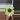 🌸 Plush Green Crochet Flower Buddy – Cute Handmade Gift thumbnail