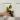 Philodendron Micans Aurea thumbnail