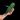 A. Warocqueanum thumbnail