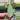 PL60: Lai Chau Silver thumbnail