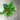 Adelonema red velvet starter plant growers choice thumbnail