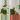 Philo Emerald Duo (Green + Red) thumbnail
