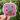 Plant This Vinyl Sticker thumbnail