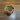 String of turtles thumbnail