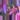 Johnston thumbnail
