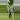 Set of 2 Hanging Glass Propagation Vases thumbnail